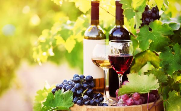 根拠を持って美味しいワインを選ぶことができる！