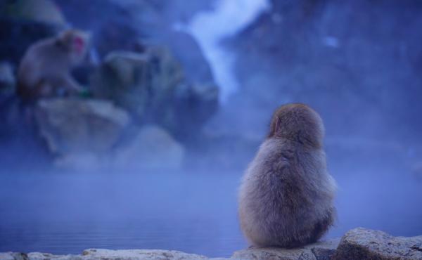 温泉の歴史や成分表の見方、入り方など幅広い知識が身に付きます！